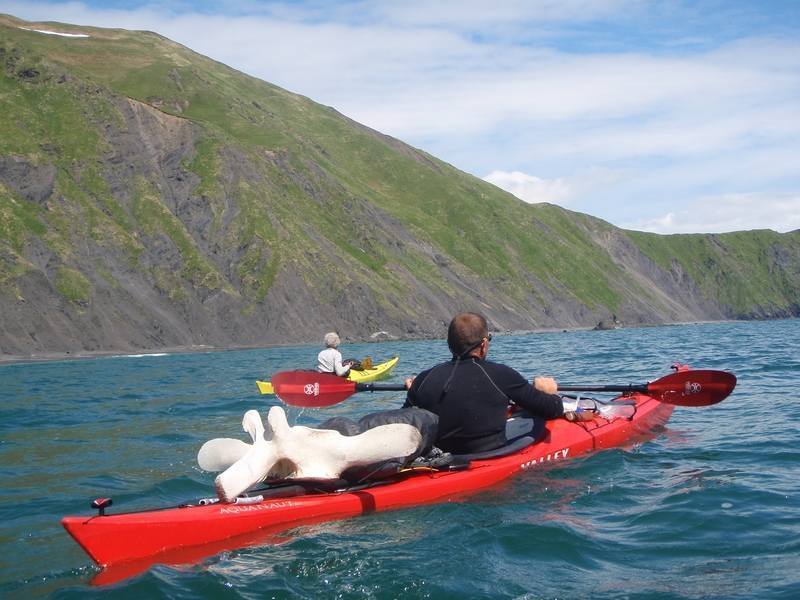kayak sur l'île de kodiak avec vertebre de baleine