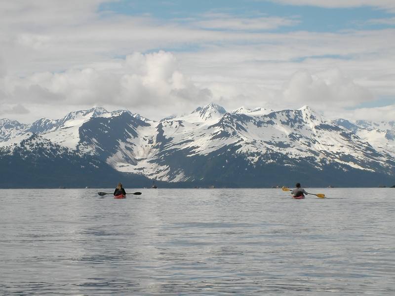 Vue de l'île de Kodiak en Alaska