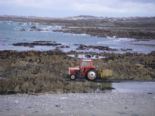 L'île Lihou
