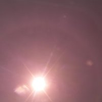 sany0042