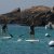 Pink Granit Sup Event - Mai 2013