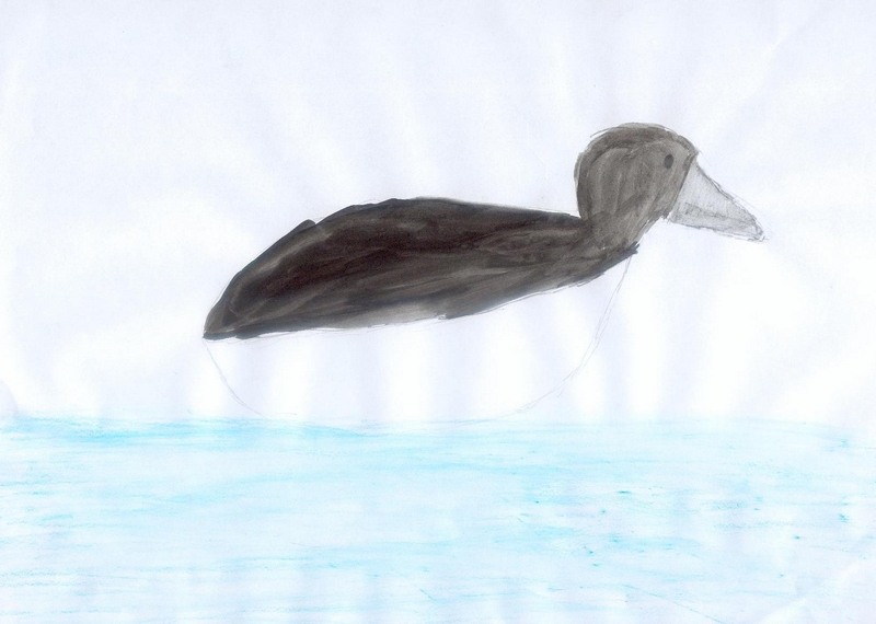 dessin_paula