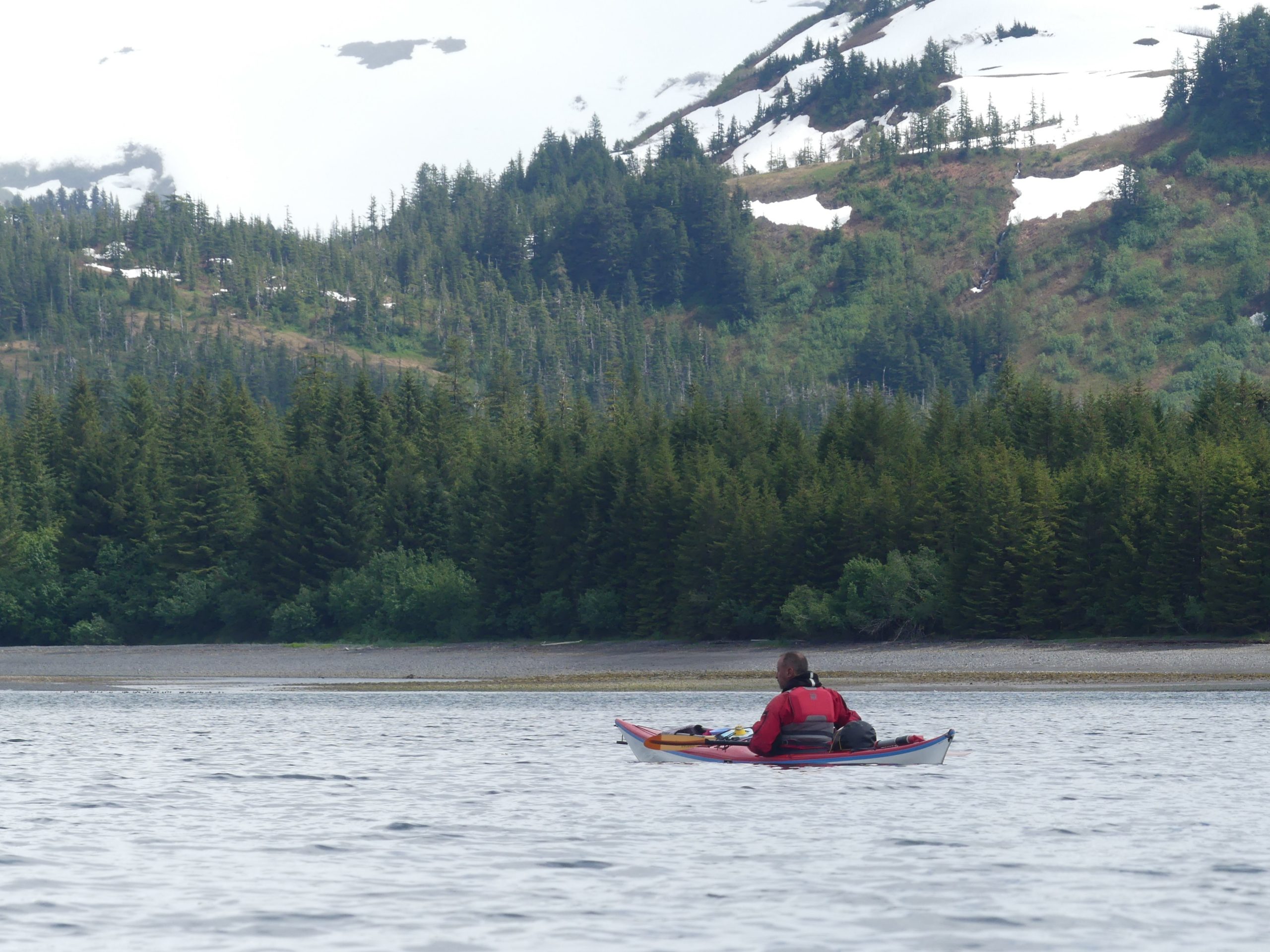 Montague Island, Prince WIlliam Sound