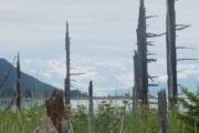 Pakenham point